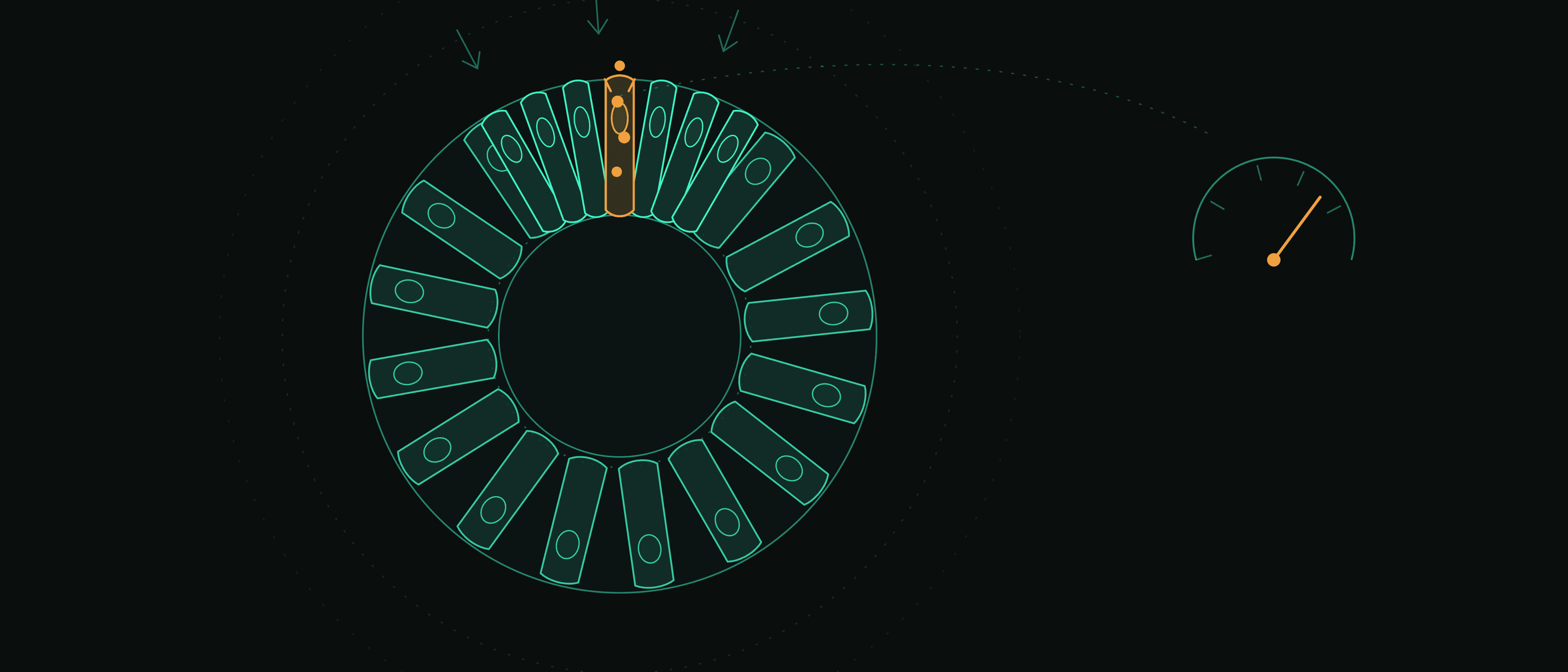 How Crowded "Mini-Guts" Use a Cellular Pressure Gauge to Rebuild Themselves After Injury